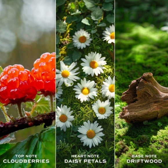 NIB Daisy Love by Marc Jacobs E.D.T.-50ML/ 1.7FL OZ - Picture 5 of 9